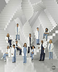 Questions for Grey's Anatomy Between Seasons Five and Six