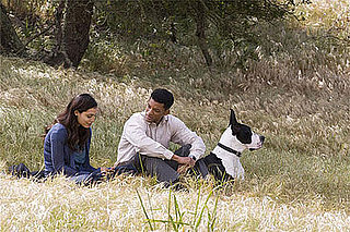 Movie Preview: Will Smith in Seven Pounds