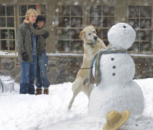Box Office News, Marley & Me, Valkyrie, Bedtime Stories, The Curious Case of Benjamin Button