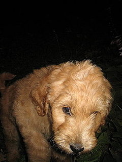 First Day Home