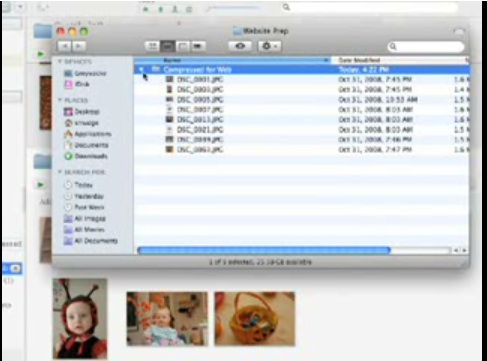 Google Introduces Picasa For Mac 