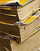 Website Yellow Goes Green Will Stop You From Getting Phone Books and Yellow Pages