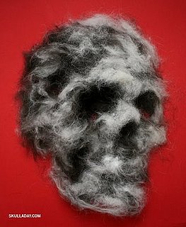 Skull-A-Day Features a Different Skull Every Day