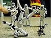 Star Wars Fan and Photographer Takes Funny Pictures of Stormtrooper Figurines