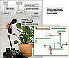 How to Not Kill Your Plants (with Technology)