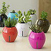 Karim Rashid's Grobal Plant Pots Are Self-Watering