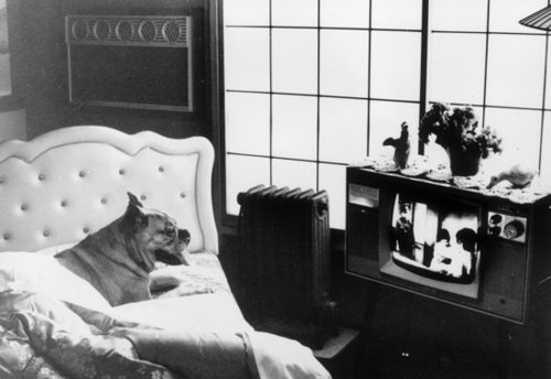 TV in the Bedroom: Yes or No?