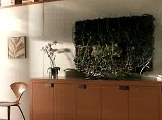 Sony Does It Again With a Captivating New Commercial 