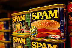 Getting Revenge on Spammers Getting Revenge on Spammers