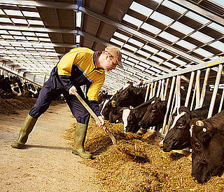 Organics Industry Plagued by Recession and Scandal
