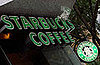 Do You Drink Starbucks Coffee?
