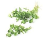 Beginner Guacamole Beginner Guacamole