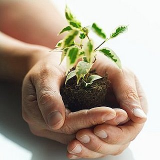 Take an Earth Day Quiz