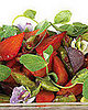 10 Original Summer Salads