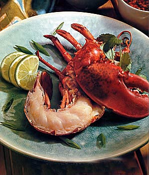 Expert Grilled Lobster Expert Grilled Lobster