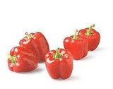Beginner Greek Salad Beginner Greek Salad