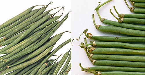Burning Question: Are Haricots Verts Just Green Beans?