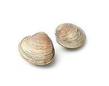 Expert Clam Linguine Expert Clam Linguine