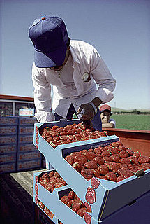 Fact or Fiction? Buying Local Reduces Carbon Footprints