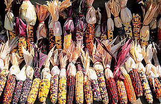 What Fall Vegetable Are You Looking Forward To?