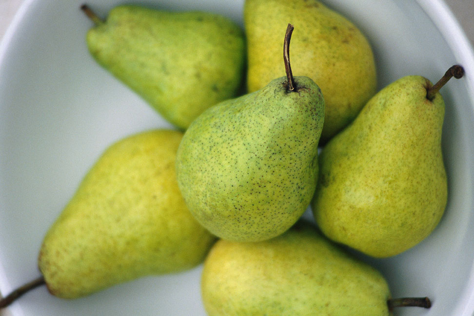 Get to Know Pear Varieties Get to Know Pear Varieties