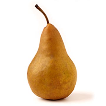 Bosc Bosc