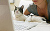 Do You Cruise Craigslist for Pet Supplies or Services?