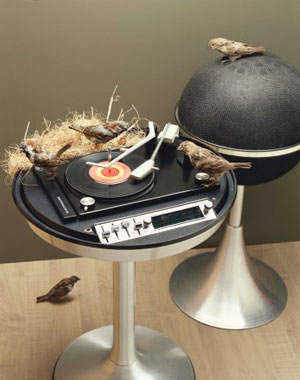 Pet Inspired Songs
