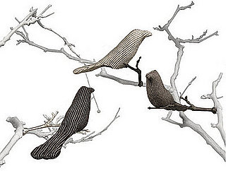 Catnip Birds to Entertain your Cat
