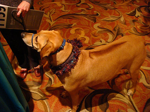 Beggin' strips Beggin' strips