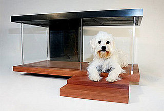 Petchitecture 2008 - The Designs Go Green