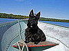 Weekly Petsugar Recap Quiz 2008-05-10 11:00:02