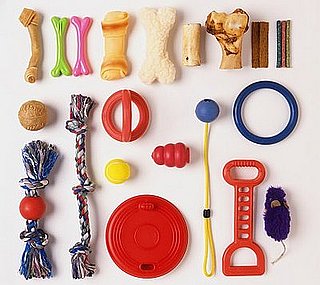 How Many Toys Does Your Pet Have?