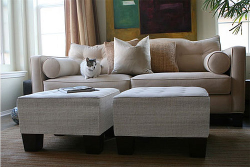 Scratchable Furniture from Cat Livin and Viesso