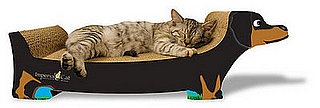 Dachshund Scratcher for Kitty Revenge