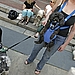 To Leash or Unleash? 