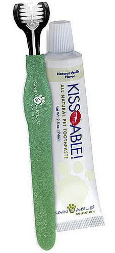 Yes, You Can Clean Your Pet's Teeth With a Toothbrush Yes, You Can Clean Your Pet's Teeth With a Toothbrush