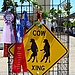 Cow Crossing