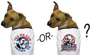 Are Your Pets Political?