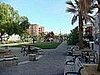 Favorite Dog Parks