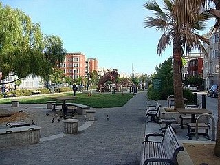 Favorite Dog Parks