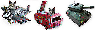Cardboard Cat Playhouses