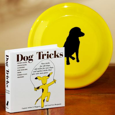 Pet Supplies from Cost Plus World Market