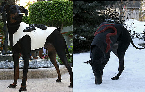 ModRuff Sculpted Dogwear Coats