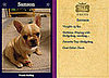 Samson Cute For Worldwide Fidos