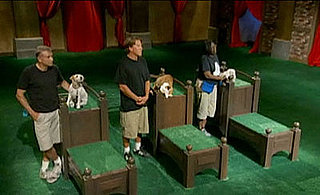 Greatest American Dog Recap