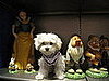 Pet Pics on Petsugar 2008-07-30 08:00:57