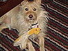 Pet Pics on Petsugar 2008-08-05 08:00:57