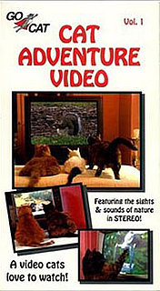 Does the Cat Adventure Video Really Work?