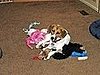 Pet Pics on Petsugar 2008-08-22 08:00:35